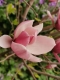 1_600x800